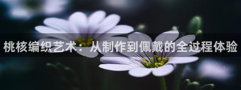 徐州天辰娱乐
