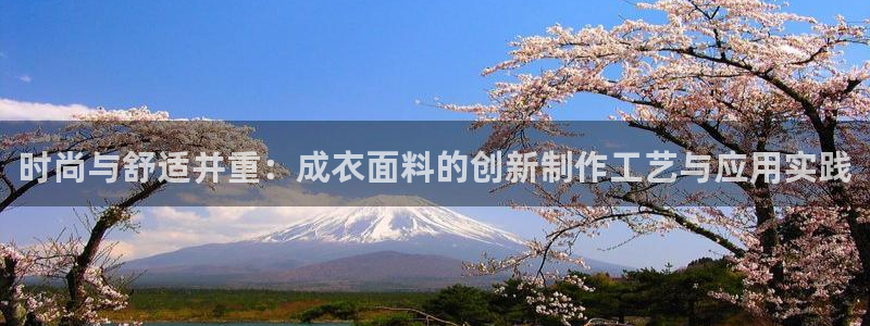 辰天娱乐用品