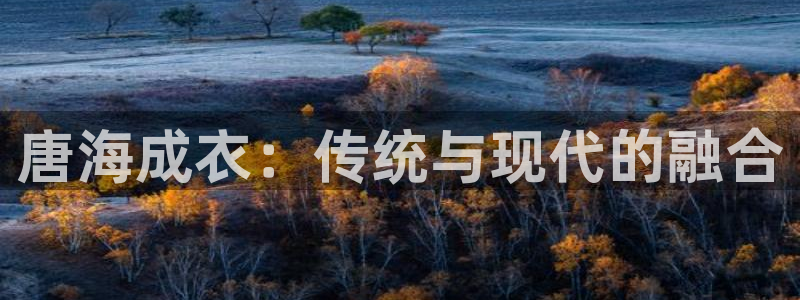 南充天辰娱乐