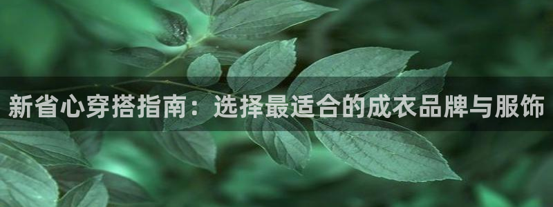天辰娱乐 qq