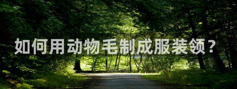 天辰娱乐957807
