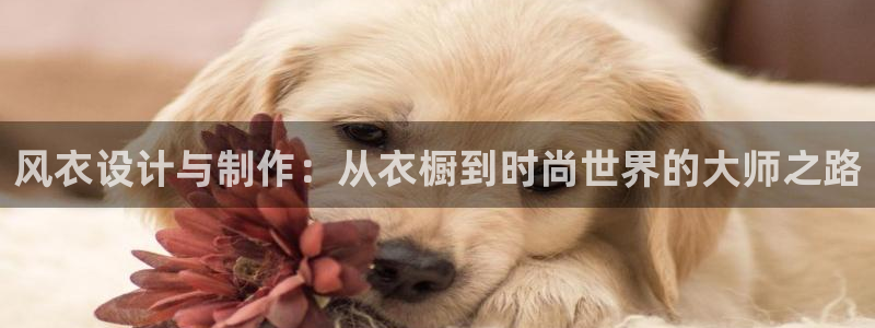 天辰在线娱乐