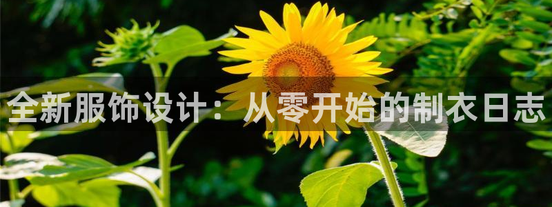 天辰娱乐网址娱乐游戏