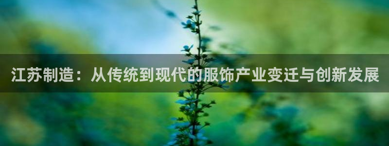 天辰娱乐输了