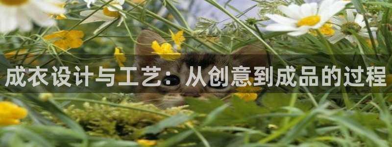 天辰娱乐1996