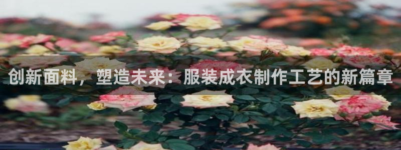 天辰娱乐 44516