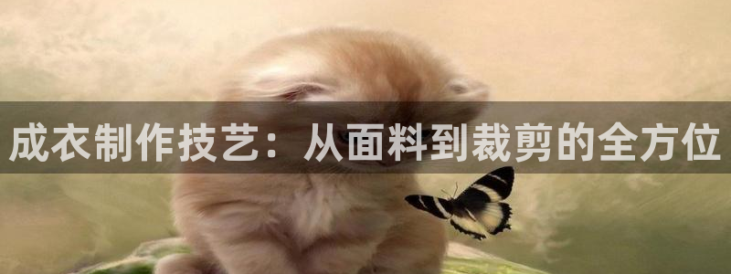 天辰娱乐官网平台下载