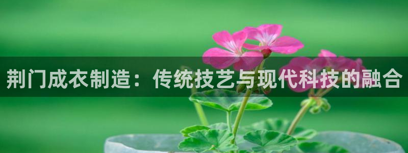天辰平台娱乐