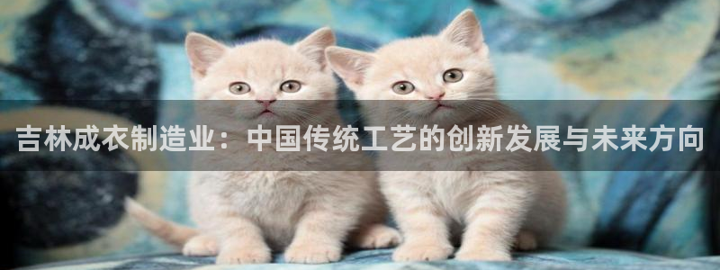徐州天辰娱乐