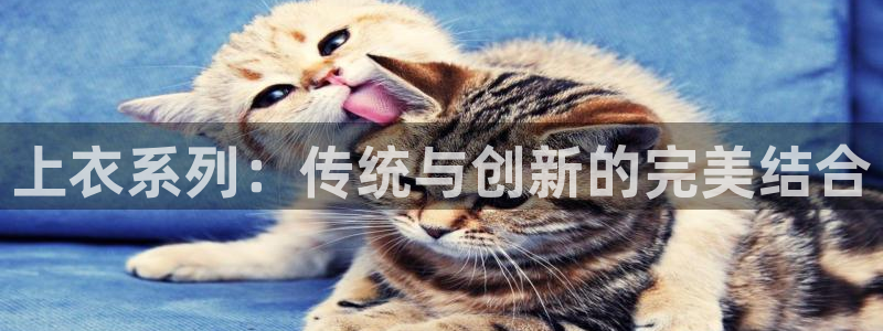 天辰娱乐39974神
