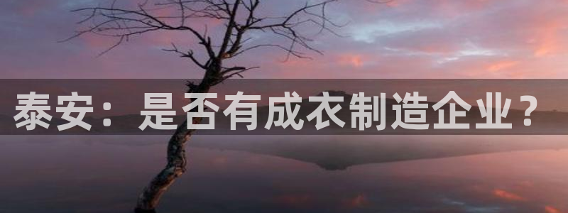 天辰娱乐下载地址