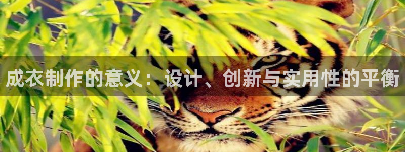 天辰娱乐简介
