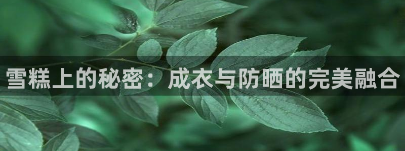 天辰娱乐下载地址