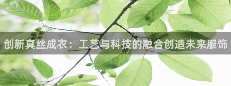 天辰娱乐线路
