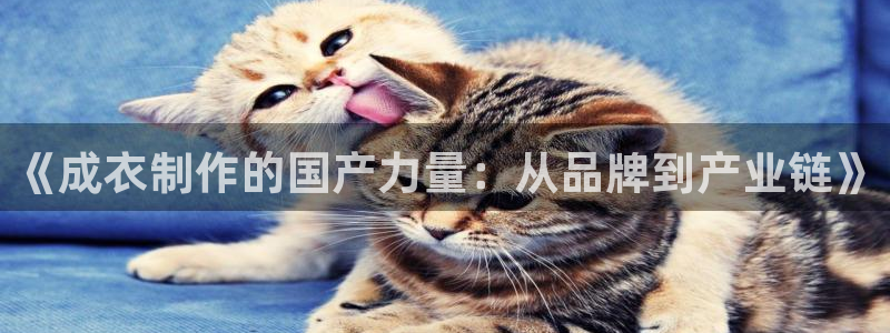 天富天辰娱乐
