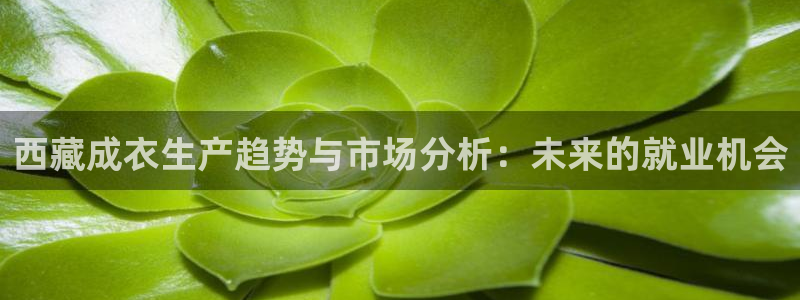 天辰娱乐官网平台下载