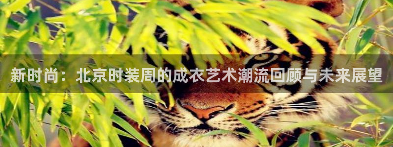 天辰娱乐登陆平台