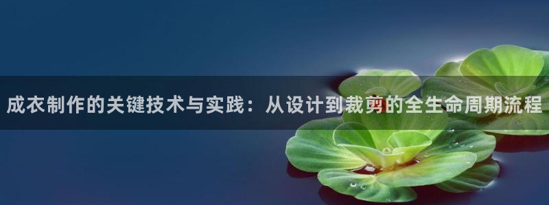 天辰娱乐39974神