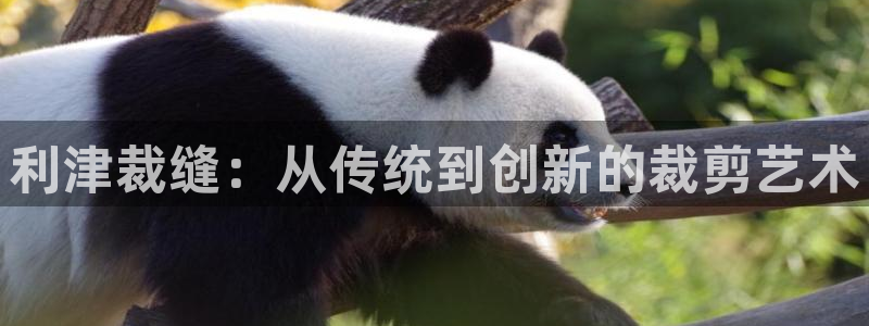 天辰娱乐测速