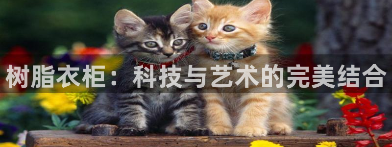 天辰娱乐官方登录下载