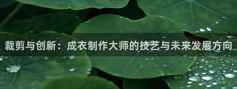 天辰娱乐黑人