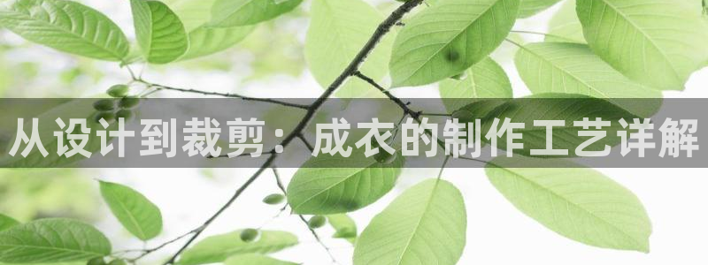 天辰娱乐平台测速