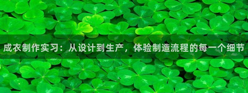 天辰宝宝娱乐