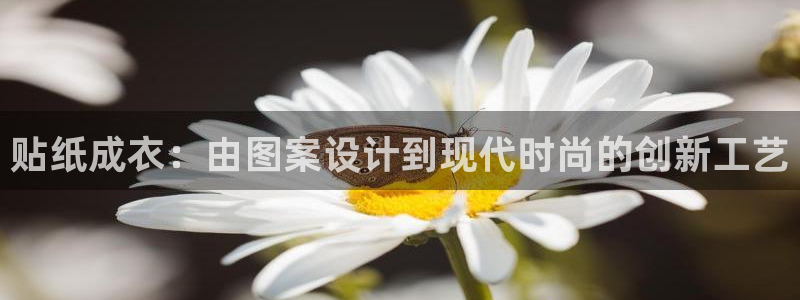 天辰娱乐彩票