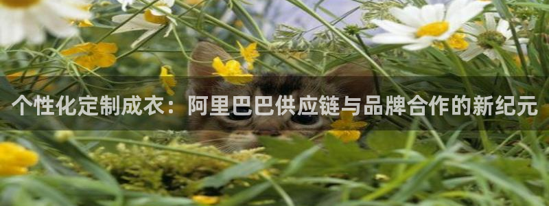 天辰娱乐tff