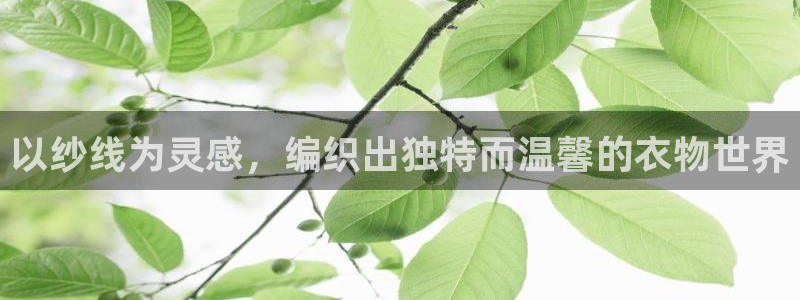 天辰娱乐总管