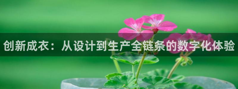 天辰团队贝高娱乐