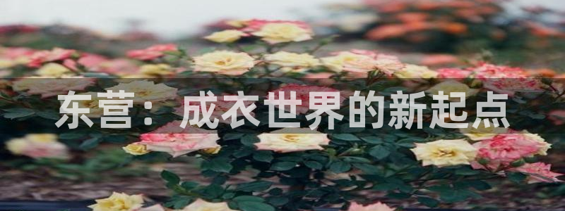 天辰a娱乐