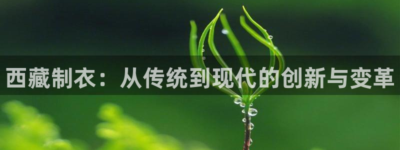 天辰娱乐卡