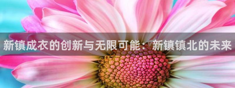 天辰娱乐481928
