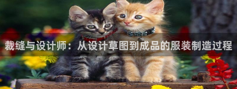 天辰娱乐卡
