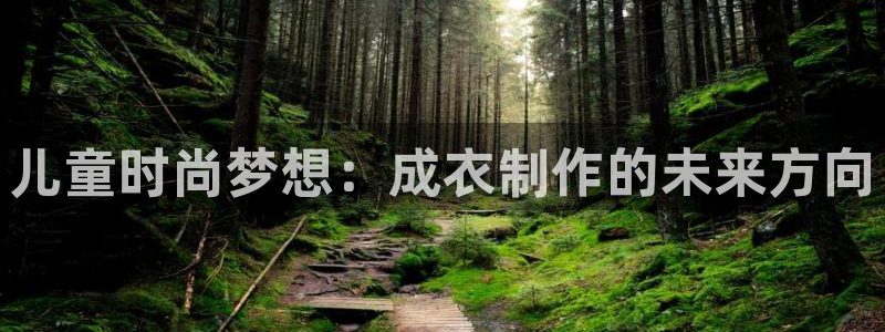 天辰娱乐维护
