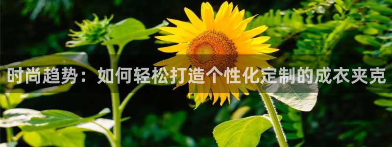 天辰娱乐测试