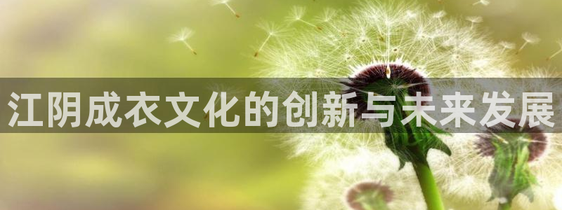 集宁天辰娱乐