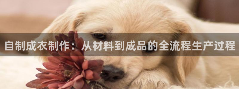 天辰娱乐集团