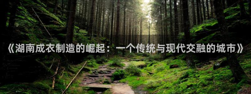 天辰娱乐直属