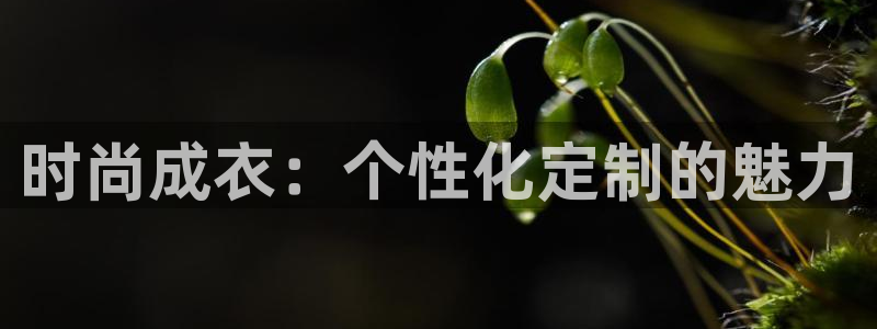天辰娱乐挂机