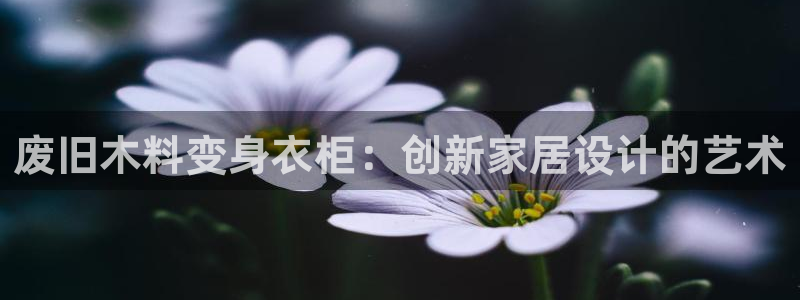 哈尔滨天辰娱乐