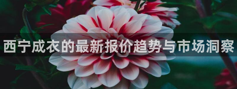 天辰娱乐总管