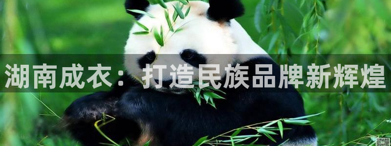 天辰娱乐平台测速