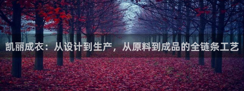 天辰娱乐海洋