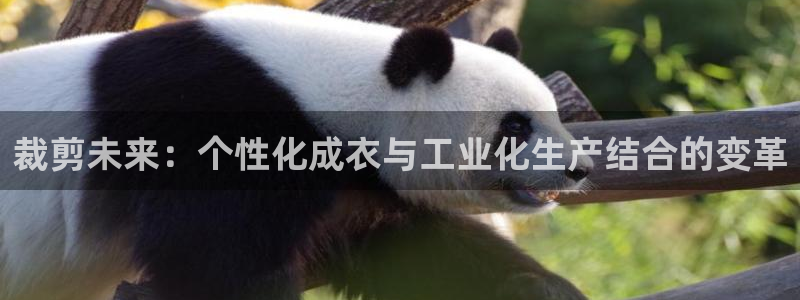 天辰娱乐10086