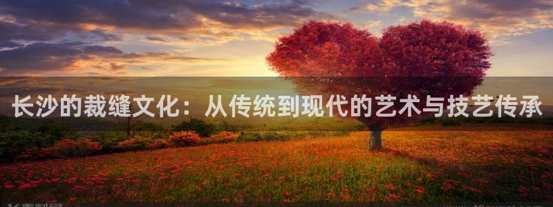 天辰娱乐APP下载