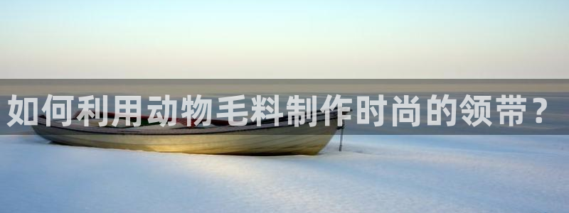 天辰娱乐简介