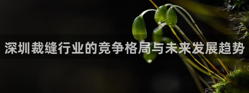 天辰娱乐 . 鱼刺