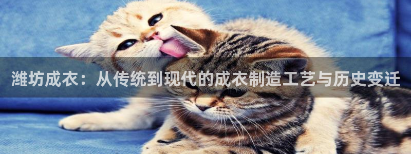 天辰娱乐 44516